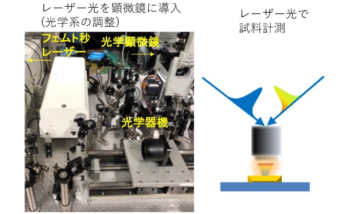 誰も見たことのない反応の瞬間を顕微鏡下で捉える「時・空間分光による光機能性材料の反応機構解明」